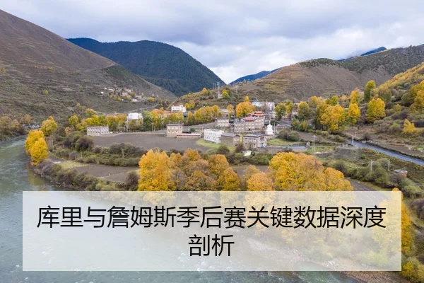 库里与詹姆斯季后赛关键数据深度剖析（kaiyun）